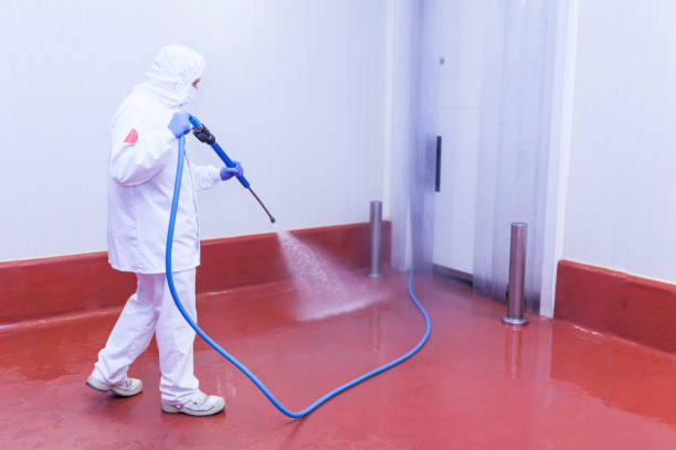 Best Driveway Pressure Washing  in Brandon, SD